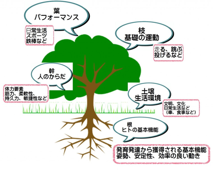 ジュニアグループレッスン-サギヌマスーパーキッズ-|川崎パーソナルジム